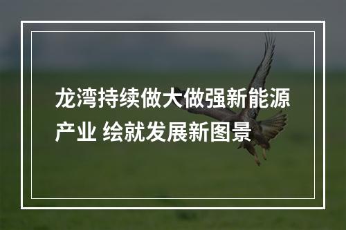 龙湾持续做大做强新能源产业 绘就发展新图景