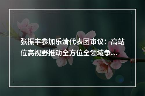 张振丰参加乐清代表团审议：高站位高视野推动全方位全领域争先创优