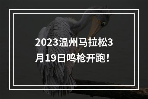 2023温州马拉松3月19日鸣枪开跑！