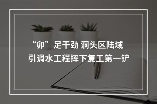 “卯”足干劲 洞头区陆域引调水工程挥下复工第一铲