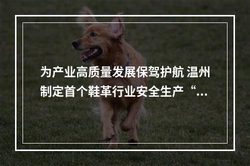为产业高质量发展保驾护航 温州制定首个鞋革行业安全生产“合规指引”
