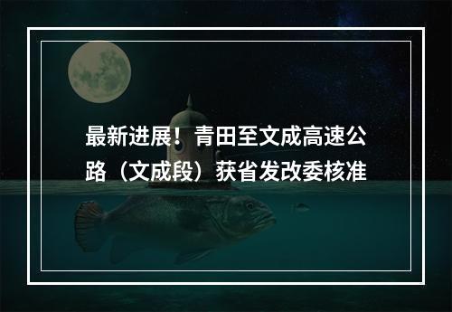 最新进展！青田至文成高速公路（文成段）获省发改委核准