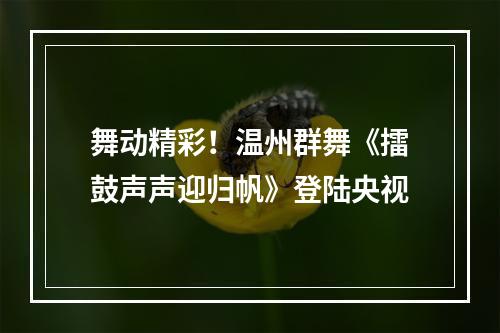 舞动精彩！温州群舞《擂鼓声声迎归帆》登陆央视