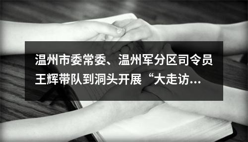 温州市委常委、温州军分区司令员王辉带队到洞头开展“大走访大调研大服务大解题”活动