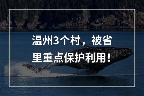 温州3个村，被省里重点保护利用！