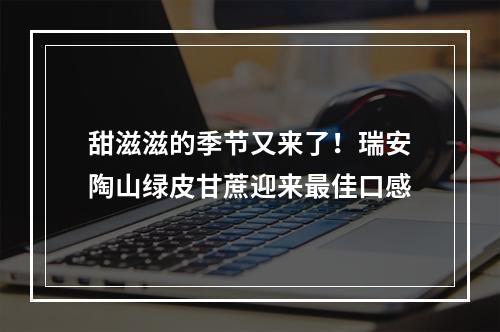 甜滋滋的季节又来了！瑞安陶山绿皮甘蔗迎来最佳口感