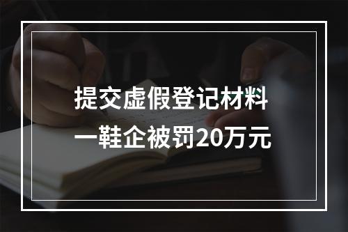 提交虚假登记材料 一鞋企被罚20万元