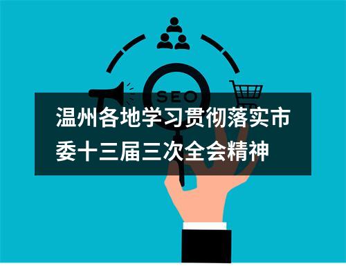 温州各地学习贯彻落实市委十三届三次全会精神
