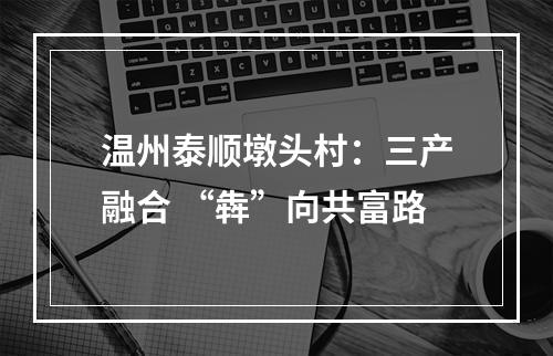 温州泰顺墩头村：三产融合 “犇”向共富路