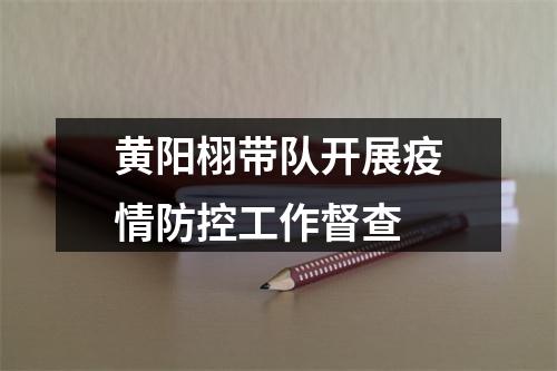 黄阳栩带队开展疫情防控工作督查