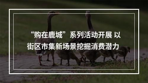 “购在鹿城”系列活动开展 以街区市集新场景挖掘消费潜力