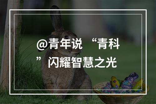 @青年说 “青科”闪耀智慧之光