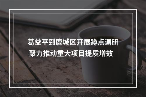 葛益平到鹿城区开展蹲点调研 聚力推动重大项目提质增效