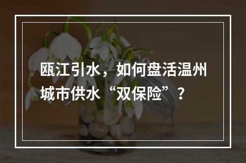 瓯江引水，如何盘活温州城市供水“双保险”？