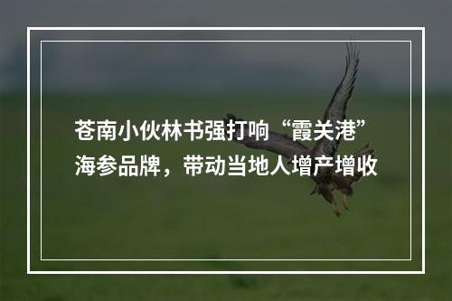 苍南小伙林书强打响“霞关港”海参品牌，带动当地人增产增收