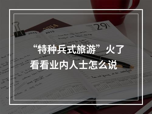 “特种兵式旅游”火了 看看业内人士怎么说