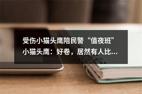 受伤小猫头鹰陪民警“值夜班” 小猫头鹰：好卷，居然有人比我更懂熬夜
