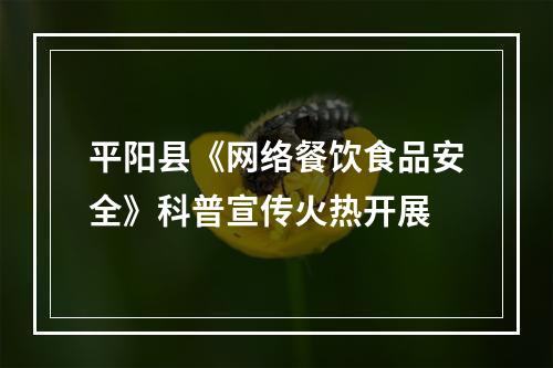 平阳县《网络餐饮食品安全》科普宣传火热开展