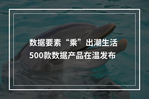 数据要素“乘”出潮生活 500款数据产品在温发布