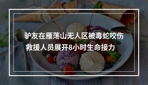 驴友在雁荡山无人区被毒蛇咬伤 救援人员展开8小时生命接力