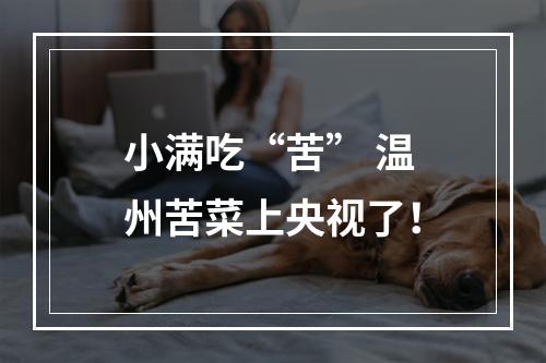 小满吃“苦” 温州苦菜上央视了！