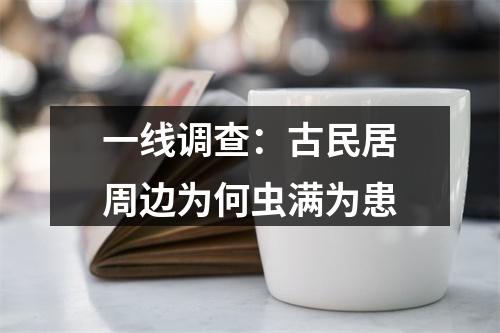 一线调查：古民居周边为何虫满为患