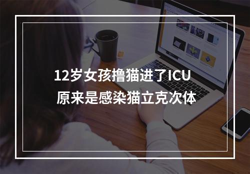 12岁女孩撸猫进了ICU 原来是感染猫立克次体