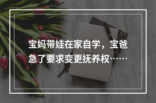 宝妈带娃在家自学，宝爸急了要求变更抚养权……