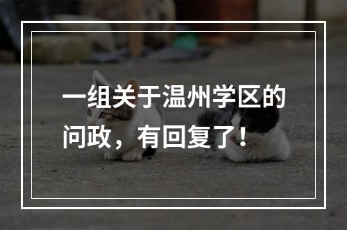 一组关于温州学区的问政，有回复了！