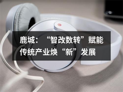 鹿城：“智改数转”赋能传统产业焕“新”发展