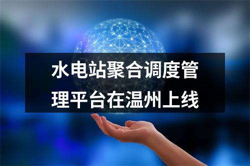 水电站聚合调度管理平台在温州上线