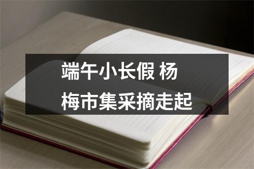 端午小长假 杨梅市集采摘走起
