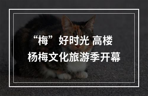 “梅”好时光 高楼杨梅文化旅游季开幕