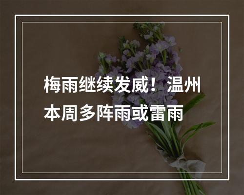 梅雨继续发威！温州本周多阵雨或雷雨