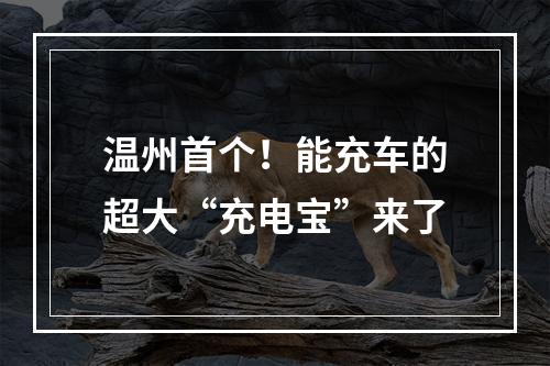 温州首个！能充车的超大“充电宝”来了