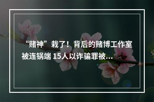 “赌神”栽了！背后的赌博工作室被连锅端 15人以诈骗罪被判刑