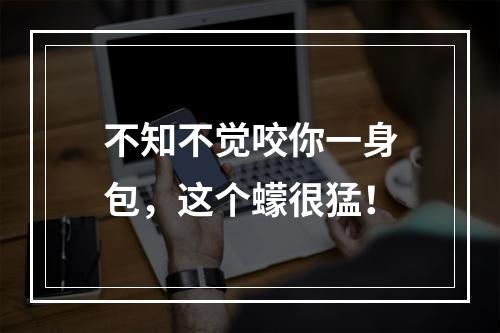 不知不觉咬你一身包，这个蠓很猛！