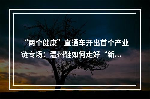 “两个健康”直通车开出首个产业链专场：温州鞋如何走好“新”路子