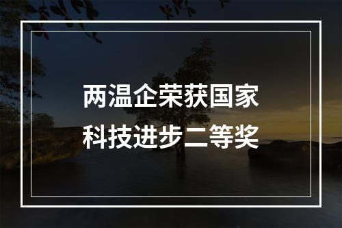 两温企荣获国家科技进步二等奖