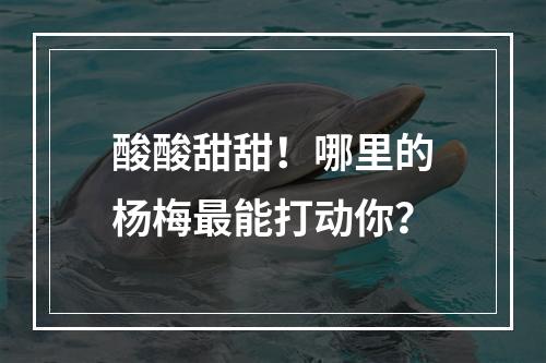 酸酸甜甜！哪里的杨梅最能打动你？