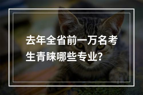 去年全省前一万名考生青睐哪些专业？