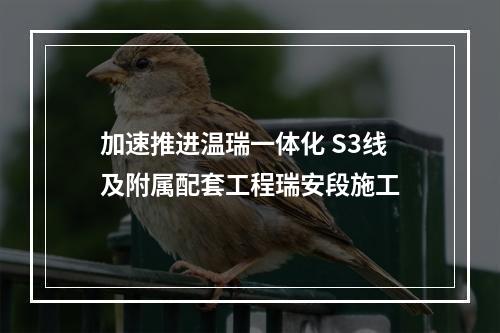 加速推进温瑞一体化 S3线及附属配套工程瑞安段施工