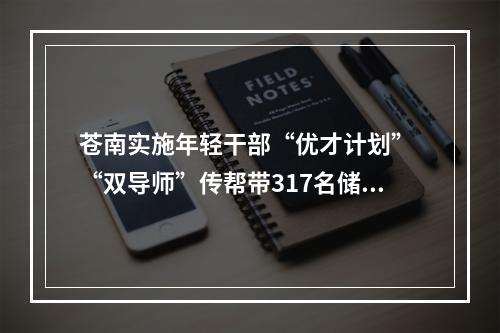 苍南实施年轻干部“优才计划” “双导师”传帮带317名储备干部