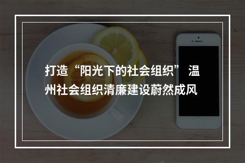 打造“阳光下的社会组织” 温州社会组织清廉建设蔚然成风