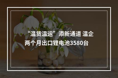 “温货温运”添新通道 温企两个月出口锂电池3580台