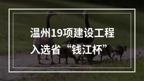 温州19项建设工程入选省“钱江杯”