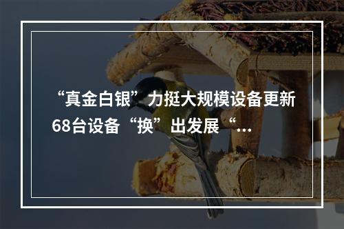 “真金白银”力挺大规模设备更新 68台设备“换”出发展“新”动能