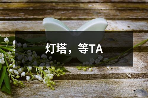 灯塔，等TA