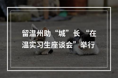 留温州助“城”长 “在温实习生座谈会”举行