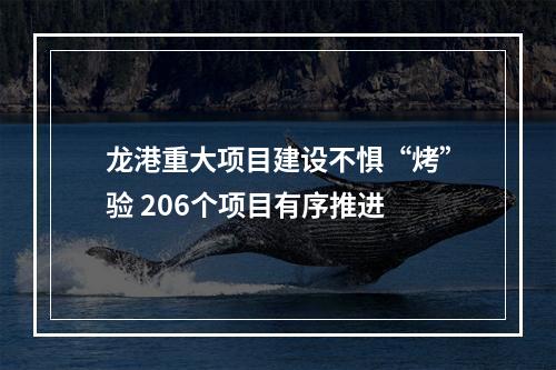 龙港重大项目建设不惧“烤”验 206个项目有序推进